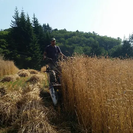 Azienda Agrituristica Risveglio Naturale Farm stay *