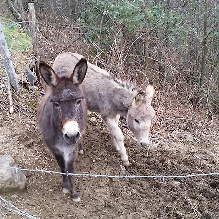 Azienda Agrituristica Risveglio Naturale * Varese Ligure