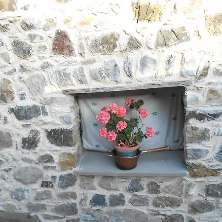 Azienda Agrituristica Risveglio Naturale 瓦雷塞利古雷