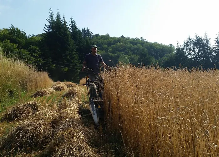 Azienda Agrituristica Risveglio Naturale Feriegård *