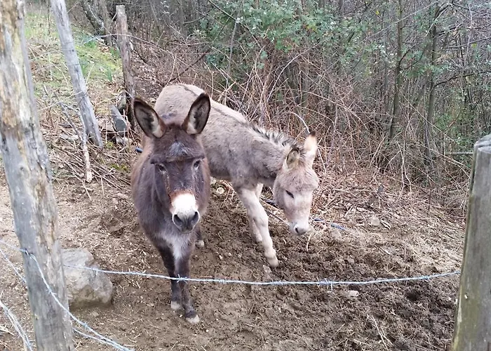 Azienda Agrituristica Risveglio Naturale * Varese Ligure
